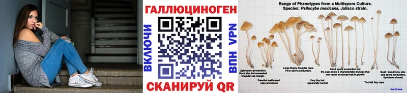 Псилоцибиновые грибы ЛСД  Урень 